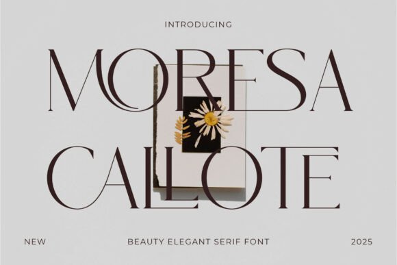Moresa Callote: A Serif Font for the Ultra-Chic Brand